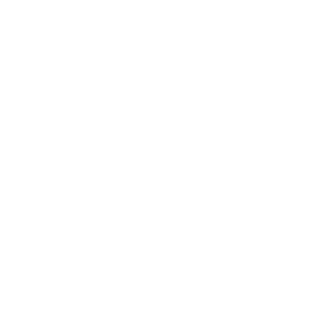 Disability Owned business enterprise